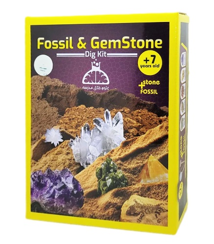بازی حفاری سنگ رسوبی Fosil And GemStone
