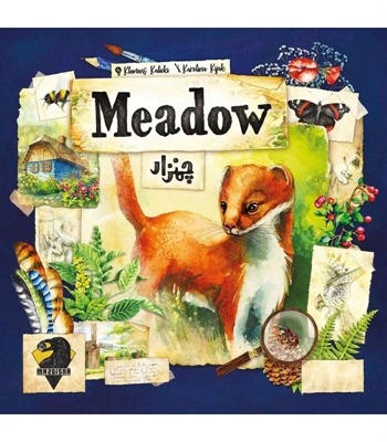 بازی فکری چمنزار MEADOW